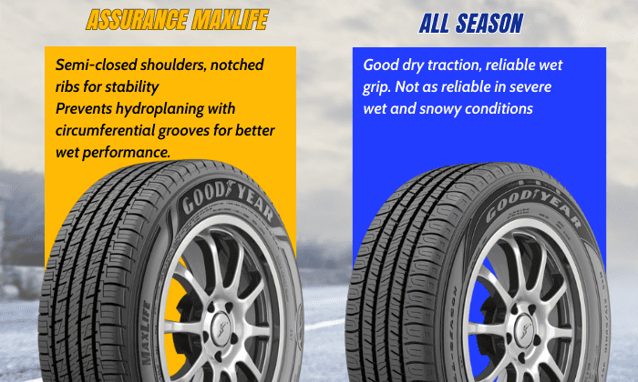 Performance-of-all-season-vs-max-life