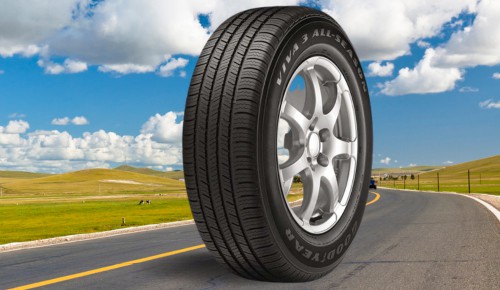 Dry-performance-of-Goodyear-Viva-3-Tire