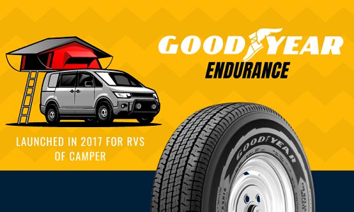 Overview-of-Goodyear-Endurance