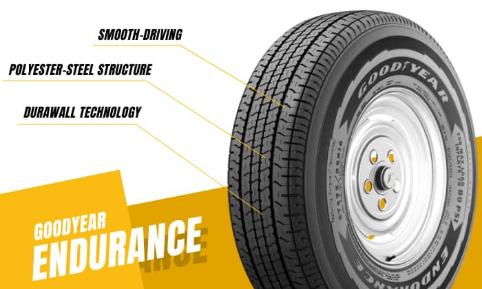 Overview-of-Goodyear-Endurance